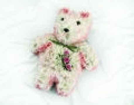 teddybear 19 x 15